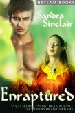 Enraptured - A Sexy Medieval Fantasy Erotic Romance Short Story from Steam Books (eBook, ePUB)