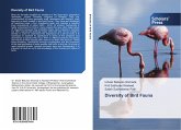 Diversity of Bird Fauna