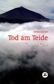 Tod am Teide (eBook, ePUB)