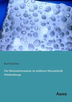 Die Steinsalzformation im mittleren Muschelkalk Württembergs - Endriss, Karl