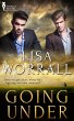 Going Under (eBook, ePUB) - Bild 1
