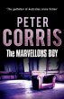 Marvellous Boy (eBook, ePUB) - Bild 1