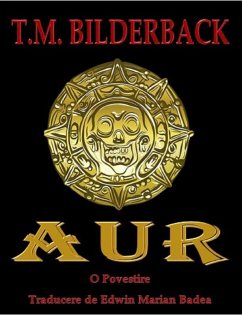 Aur (eBook, ePUB) - Bilderback, T. M.
