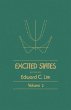 Excited States (eBook, PDF) - Bild 1