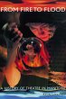 From Fire to Flood (eBook, ePUB) - Bild 1