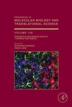 Epigenetics and Neuroplasticity - Evidence and Debate (eBook, ePUB)