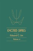 Excited States (eBook, PDF)