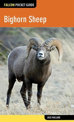 Cover Bighorn Sheep (eBook, ePUB)