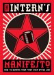 The Intern's Manifesto (eBook, ePUB) - Bild 1