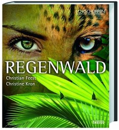 Regenwald