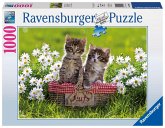 Ravensburger 194803 - Picknick auf der Wiese Ravensburger 194803 - Picknick auf der Wiese