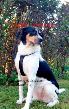 Hunde - Abenteuer (eBook, ePUB) - Groß, C. M.