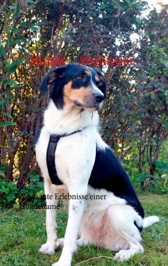 Cover Hunde - Abenteuer (eBook, ePUB)