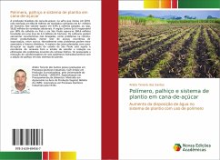 Polímero, palhiço e sistema de plantio em cana-de-açúcar - Tenorio dos Santos, Arleto
