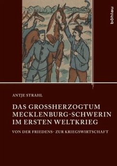 Das Großherzogtum Mecklenburg-Schwerin im Ersten Weltkrieg - Strahl, Antje