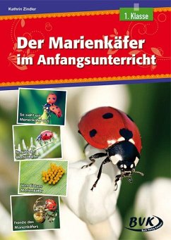 Der Marienkäfer im Anfangsunterricht - Zindler, Kathrin