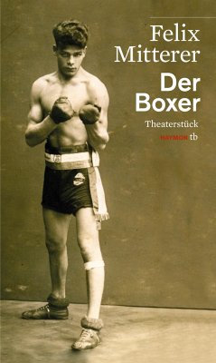 Der Boxer - Mitterer, Felix