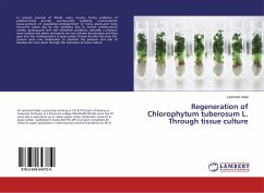 Regeneration of Chlorophytum tuberosum L. Through tissue culture