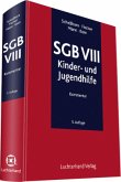 SGB VIII, Kommentar