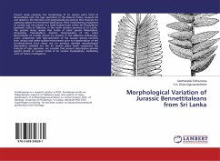 Cover Morphological Variation of Jurassic Bennettitaleans from Sri Lanka