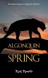 Algonquin Spring - Bild 1