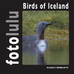 Birds of Iceland (eBook, ePUB)