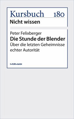 Die Stunde der Blender (eBook, ePUB) - Felixberger, Peter