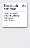 Gott im Verzug (eBook, ePUB)