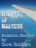 Flight of Madness (eBook, ePUB)