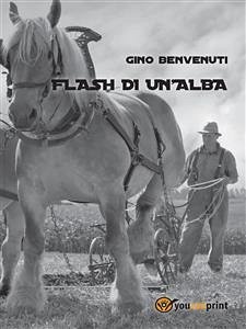 Flash di un'alba (eBook, ePUB) - Benvenuti, Gino