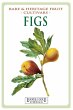Figs - Bild 1
