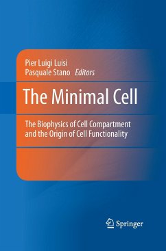 The Minimal Cell
