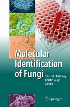 Cover Molecular Identification of Fungi