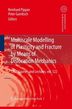 Multiscale Modelling of Plasticity and Fracture by Means of Dislocation Mechanics