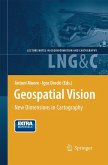 Geospatial Vision