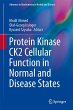 Protein Kinase CK2 Cellular Function in... - Bild 1