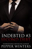 Second Debt (Indebted, #3) (eBook, ePUB)