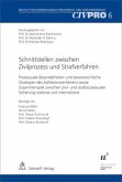 Schnittstellen zwischen Zivilprozess und Strafverfahren (f. d. Schweiz)