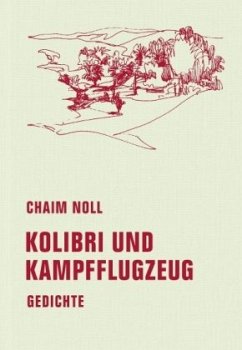 Kolibri und Kampfflugzeug - Noll, Chaim