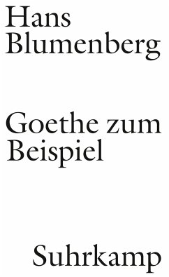 Goethe zum Beispiel - Blumenberg, Hans