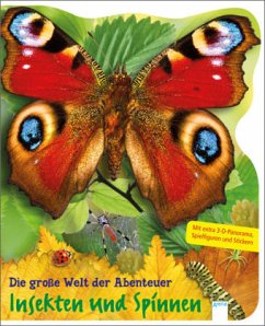 Die große Welt der Abenteuer - Insekten und Spinnen - Froeb, Lori C.
