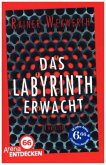 Das Labyrinth erwacht / Labyrinth Bd.1