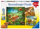 Ravensburger 09330 - Tiere der Erde, Puzzle 3x49 Teile