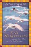 Selma Lagerlöf, Nils Holgerssons wunderbare Reise mit den Wildgänsen (eBook, ePUB)