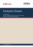 Fantastic Dream (eBook, ePUB)