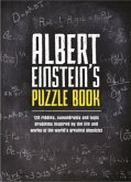 Einstein's Puzzle Universe