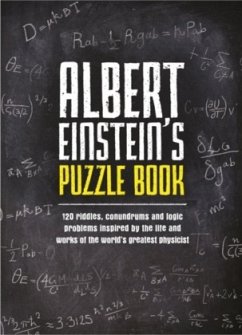 Einstein's Puzzle Universe - Dedopulos, Tim