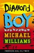 Diamond Boy (eBook, ePUB) - Bild 1