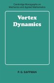 Vortex Dynamics (eBook, PDF)