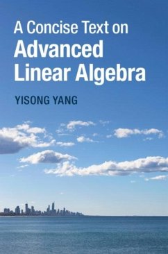 Concise Text on Advanced Linear Algebra (eBook, PDF) - Yang, Yisong